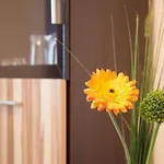 Mit Terrasse By Interhome Харцгероде