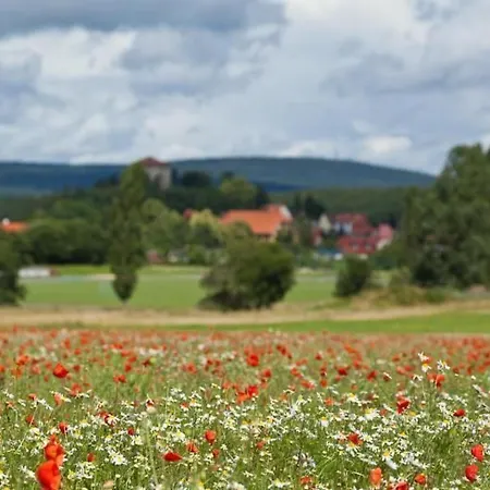Mit Terrasse By Interhome