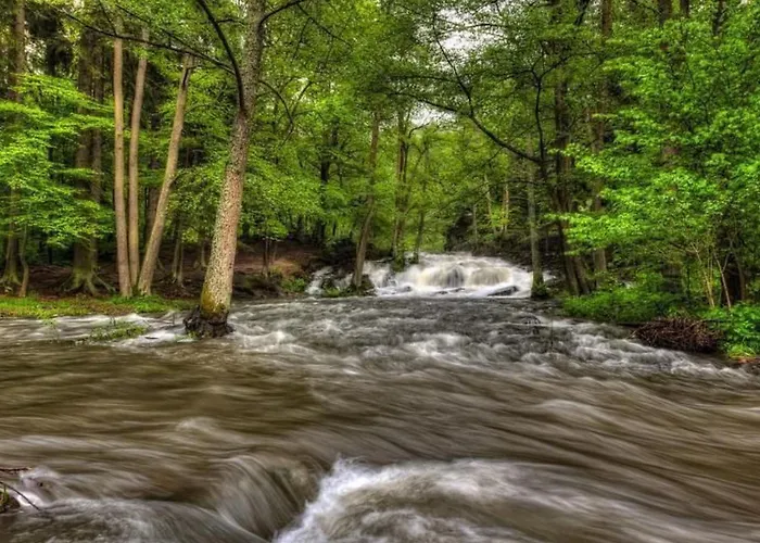 Mit Terrasse By Interhome アパート