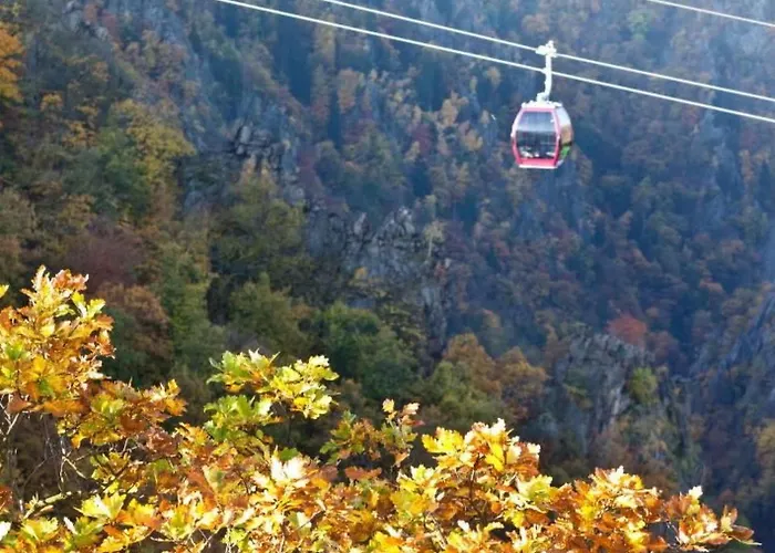 Mit Terrasse By Interhome ハルツゲローデ