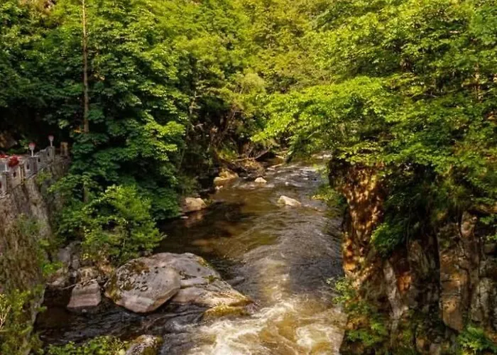 Mit Terrasse By Interhome アパート ハルツゲローデ